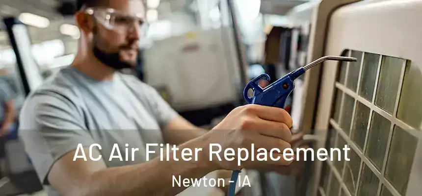 AC Air Filter Replacement Newton - IA