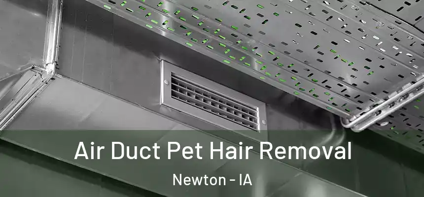  Air Duct Pet Hair Removal Newton - IA