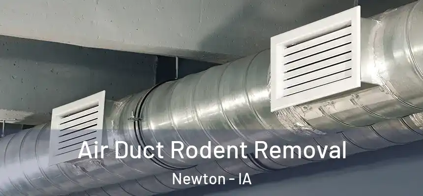  Air Duct Rodent Removal Newton - IA