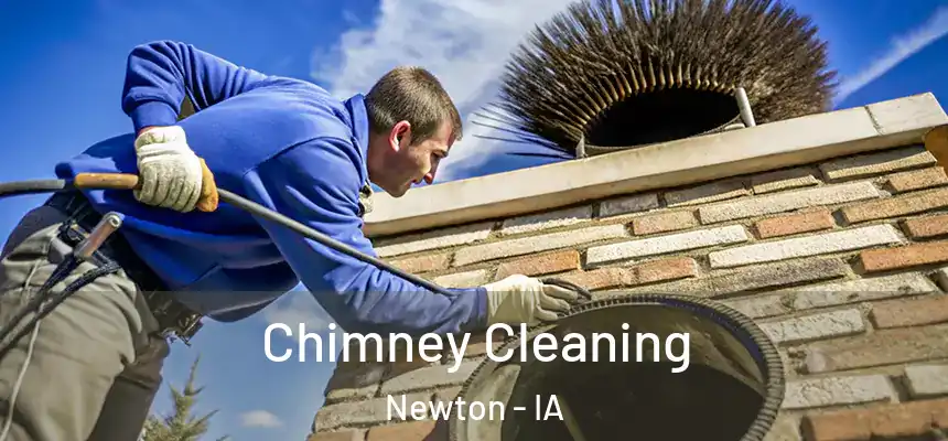  Chimney Cleaning Newton - IA