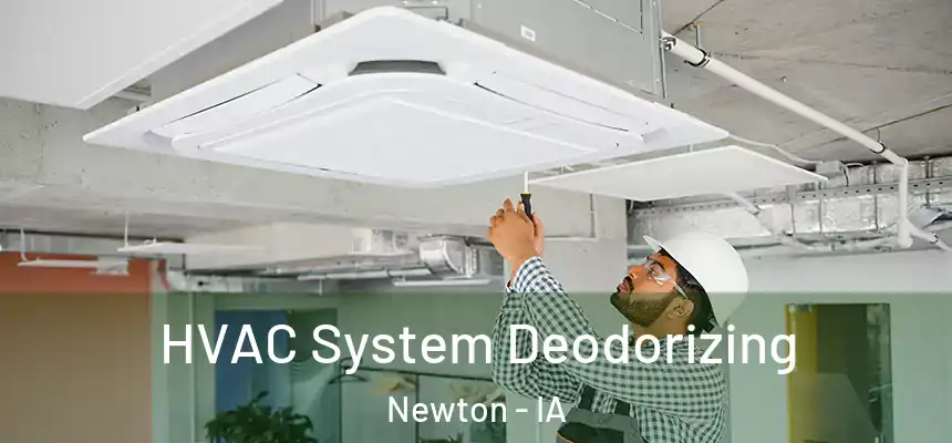 HVAC System Deodorizing Newton - IA