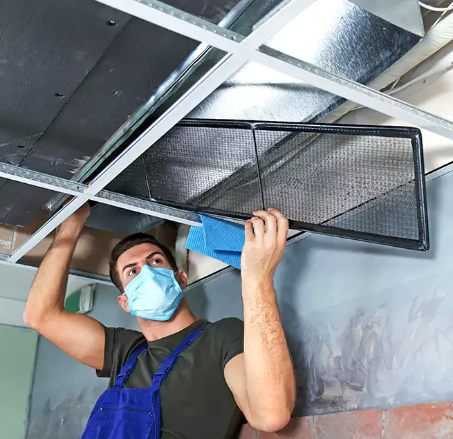 Why Homeowners Businesses Trust Us in Newton, IA